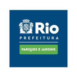 rio-pj-mmoraes-consultoria